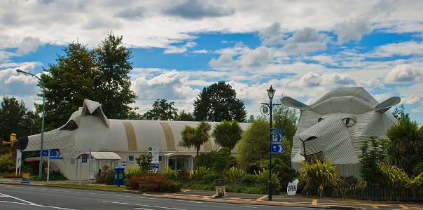 dog sheep buildings advertising