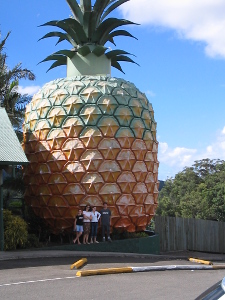 The Big Pineapple